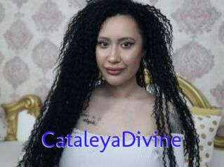 CataleyaDivine
