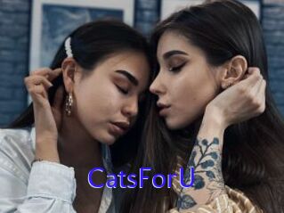 CatsForU