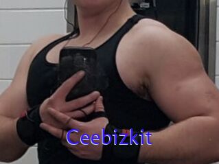 Ceebizkit