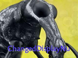 ChangedDisplayNu