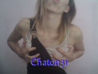 Chaton31
