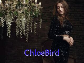 ChloeBird