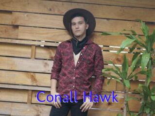 Conall_Hawk