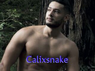 Calixsnake