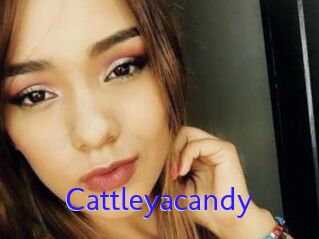 Cattleyacandy