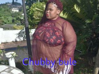 Chubby_bule