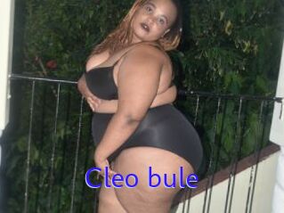 Cleo_bule