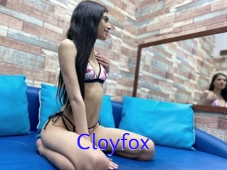 Cloyfox