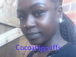 Cocoabigpuffs