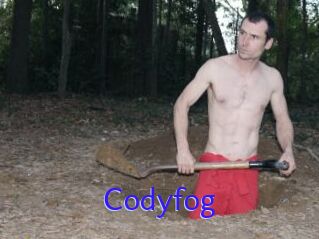 Codyfog