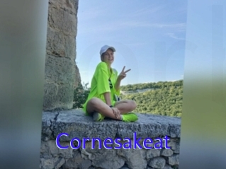 Cornesakeat