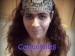 Cottontail28