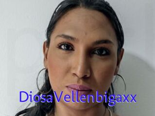 DiosaVellenbigaxx