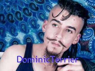 DominicTerrier