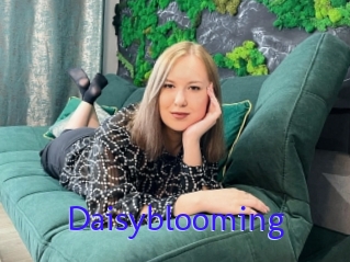 Daisyblooming