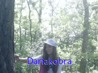 Dariakobra