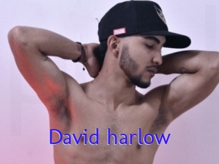 David_harlow