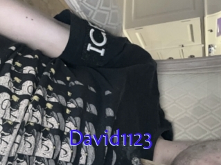 David1123