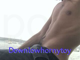 Downlowhornytoy