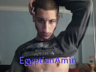 EgyptianAmin