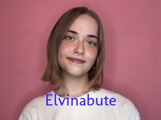 Elvinabute
