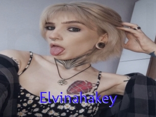 Elvinahakey