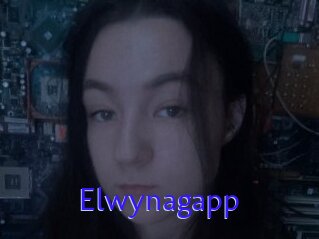 Elwynagapp