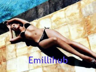 Emillihub