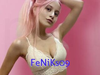 FeNiKs09