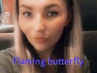 Flaming_butterfly