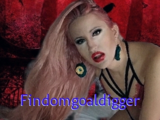 Findomgoaldigger