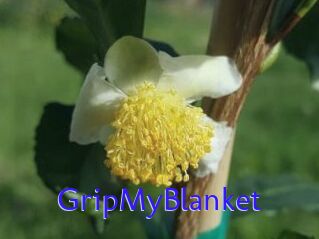 GripMyBlanket