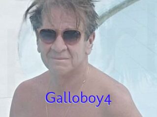 Galloboy4