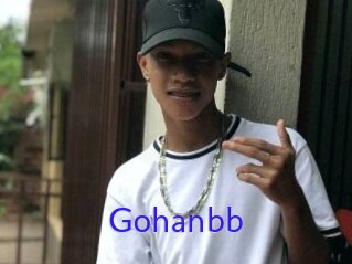 Gohanbb