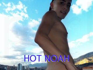 HOT_NOAH