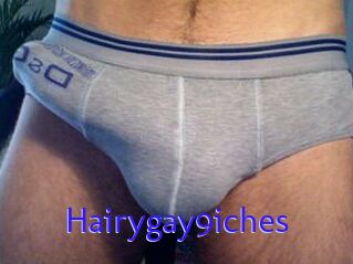 Hairygay9iches