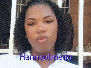 Hannaolmedo