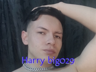 Harry_big029