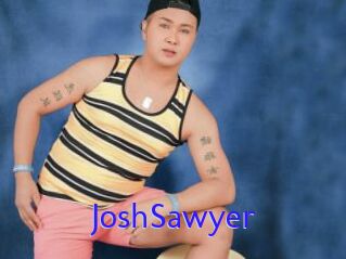 JoshSawyer