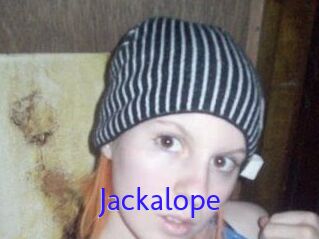 Jackalope