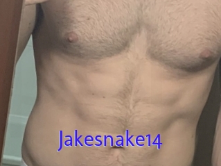 Jakesnake14