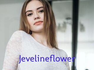 Jevelineflower