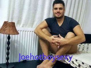 Joehotboysexy