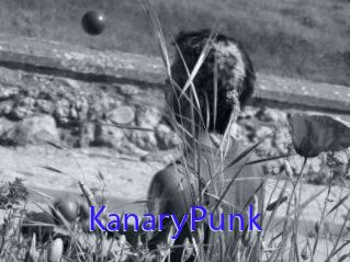 KanaryPunk