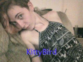 KittyBird