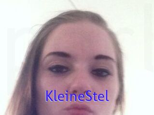 KleineStel