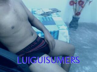 LUIGUISUMERS