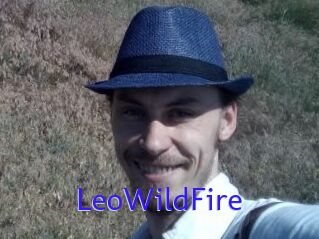 LeoWildFire