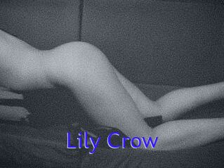 Lily_Crow