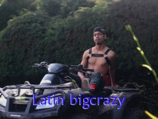 Latin_bigcrazy
